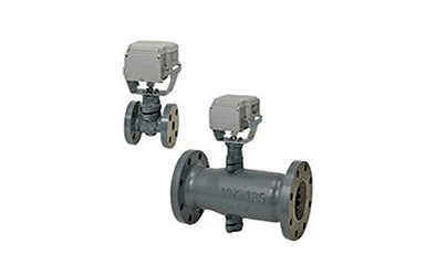 ACTIVAL™ Motorized Two-Way Valve with Flanged-End Connection for High Differential Pressure Application